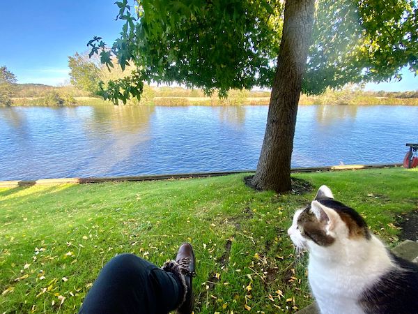 Temple Mill Island - relaxing by the river